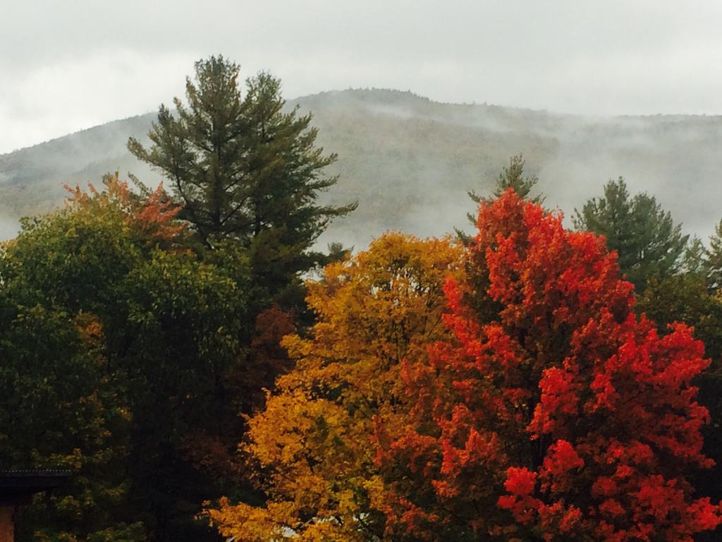 Wilderness Inn Bed And Breakfast North Woodstock Bagian luar foto